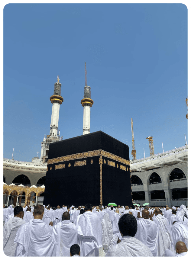 About Image 1